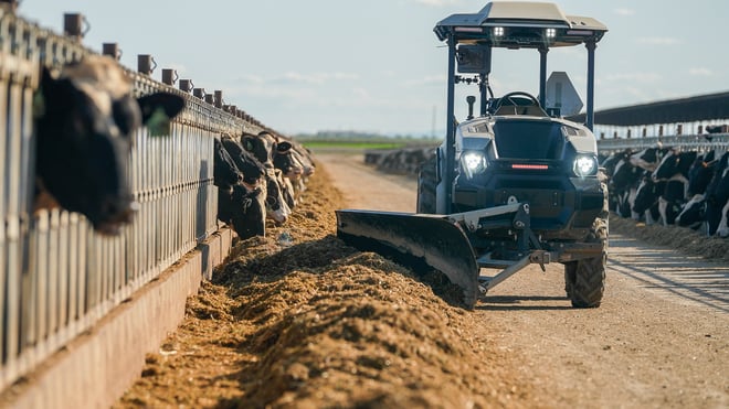 MK-V Dairy driverless tractor pushes feed to dairy cows who are eagerly waiting their meal.