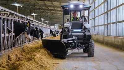 electric tractor pushing feed at dairy farm